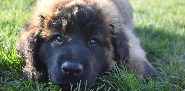 467399166 122204147348086209 n