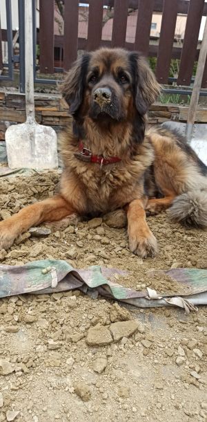 171963745 3940480499378098 n