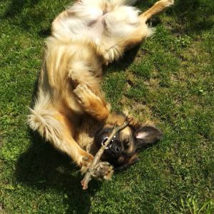 34357172 2056012548053092 n