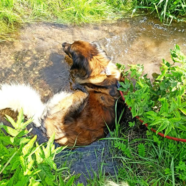 363817197 302338202246501 n