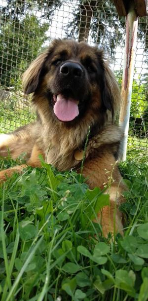 43078642 686424071730451 n