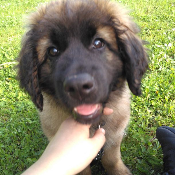 img 20170504 burst16