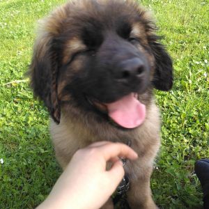 img 20170504 burst20