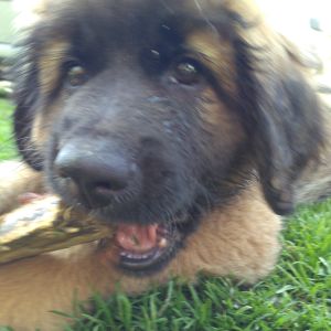 img 20170506 burst20