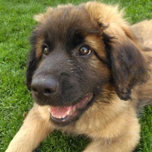 img 20170506 burst17