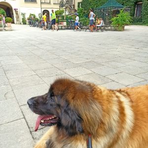 363794398 302338078913180 n