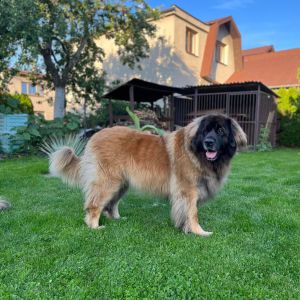 366645838 6539777722781683 n