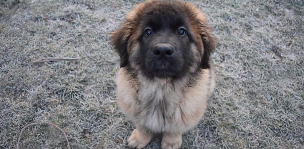 404016919 17914842731830902 n