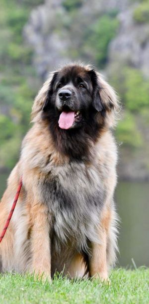 whatsapp image 2023 05 08 at.42.18