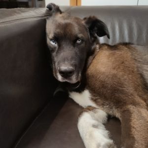 img0260411 194849