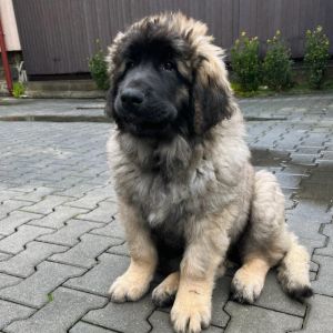 429665071 17927049407830902 n