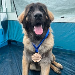 469179814 17961147770830902 n