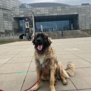 476652621 17969232641830902 n