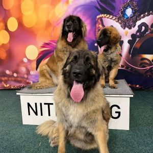 480524691 122220067070086209 n