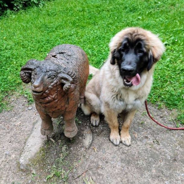 480560553 122218610684086209 n