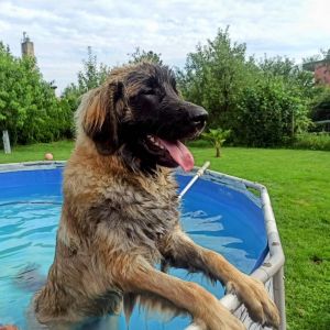 480744164 122218829618086209 n