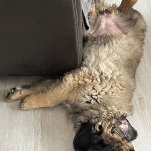 whatsapp image 2024 03 01 at8.47.26 