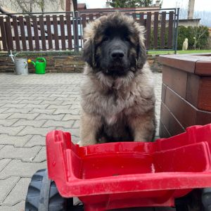 whatsapp image 2024 03 01 at.47.26