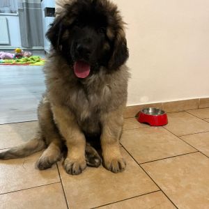 whatsapp image 2024 03 01 at.47.28